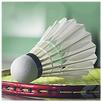 Badminton Sport APK