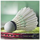 Badminton Sport APK