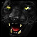 Black panther ferocious APK