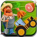 Garden and farm theme APK