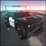 Police on highway