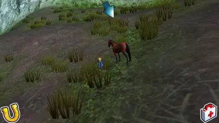 Pony-Fahrt um die Welt APK Herunterladen