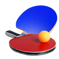 Ping Pong 3d Table
