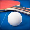 Ping Pong Table Tennis Pro