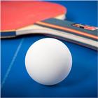 Ping Pong Table Tennis Pro-icoon