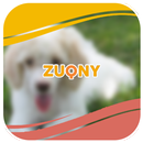 पूडल कुत्ता APK