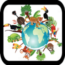 Игра Умный Ребенок & Найди Правильное Животное APK