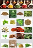 Cooking Herbs and Spices usage स्क्रीनशॉट 1