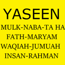 APK Surah Yaseen-Al Mulk-Naba