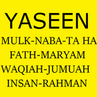 Surah Yaseen-Al Mulk-Naba icône