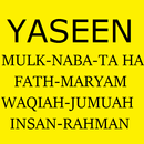 Surah Yaseen-Al Mulk-Naba APK