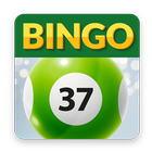 Bingo37 icon
