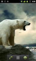 1 Schermata Orso Polare LWP