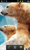 برنامه‌نما polar bear wallpaper عکس از صفحه