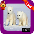 Polar Bear Photo Frames icône