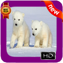 Polar Bear Photo Frames aplikacja