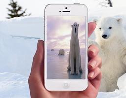 Polar Bear Photo Frames imagem de tela 3