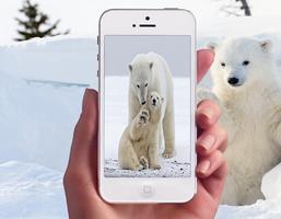 Polar Bear Photo Frames imagem de tela 1