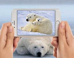 Polar Bear Photo Frames स्क्रीनशॉट 2