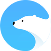 Polar Browser -Download Faster