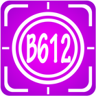 B216 Selfie Beauty Camera Editor icon