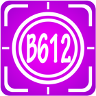 B216 Selfie Beauty Camera Editor ikona