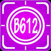 B216 Selfie Beauty Camera Editor 포스터