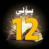 آیکون‌ Poli12