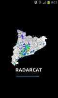 RadarCat Affiche