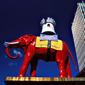 Elephant and Castle Guide icon