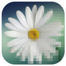 Mosaica - Guess the Picture APK