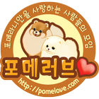 Pomeranian Community Pomelove آئیکن