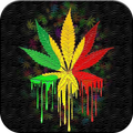 Reggae Wallpaper
