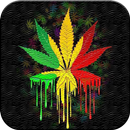 Reggae Wallpaper aplikacja