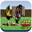 Toon Soccer League 2016