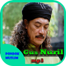 Ceramah Gus Nuril APK