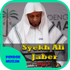 Kumpulan Ceramah Syekh Ali Jaber আইকন