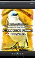Suara Kicau Burung Indonesia capture d'écran 2