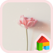 charming flower dodol theme