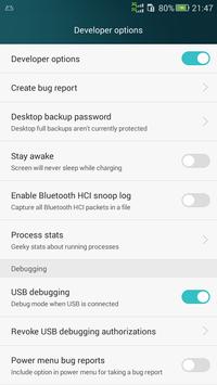 dev settings rar скачать