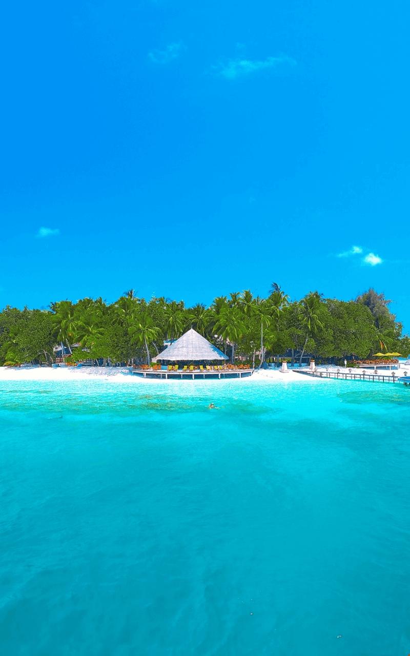 下载Tropical Paradise Wallpaper HD的安卓版本 下载Tropical Paradise Wallpaper HD的安卓版本