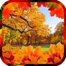 Autumn Live Wallpaper HD APK