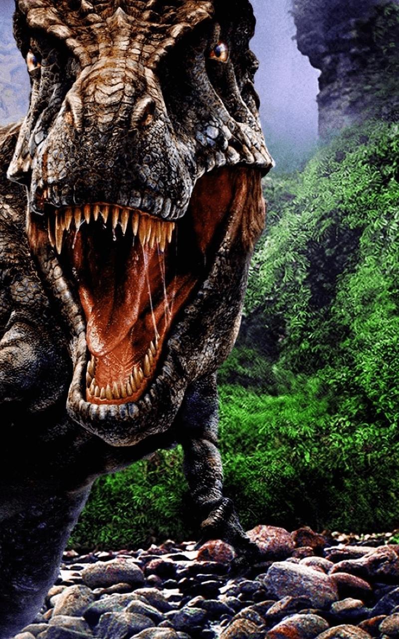 Featured image of post Velociraptor Wallpaper Hd Android We have 61 amazing background pictures carefully picked by our community