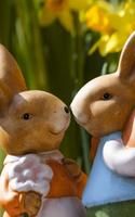 Easter Bunny Live Wallpaper HD poster