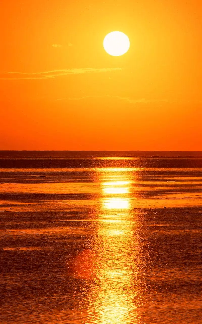 Tải xuống APK HD Sunset Live Wallpaper cho Android Tải xuống APK HD Sunset Live Wallpaper cho Android