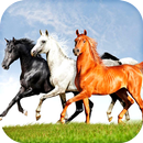Horses Live Wallpaper HD APK