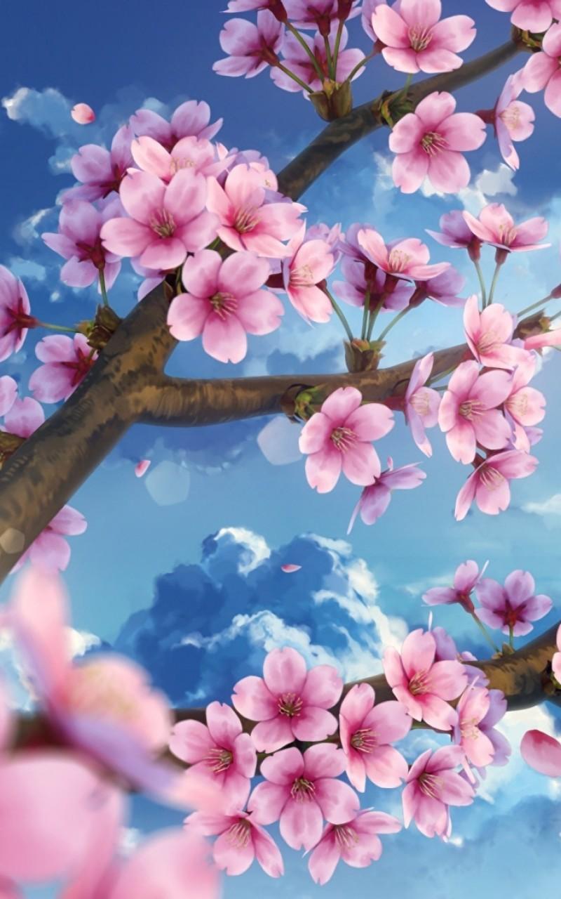 Sakura Live Wallpaper Hd For Android Apk Download
