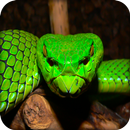 Snake Wallpapers APK
