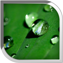 Water Drop Live Wallpaper APK