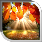 Autumn Live Wallpaper أيقونة